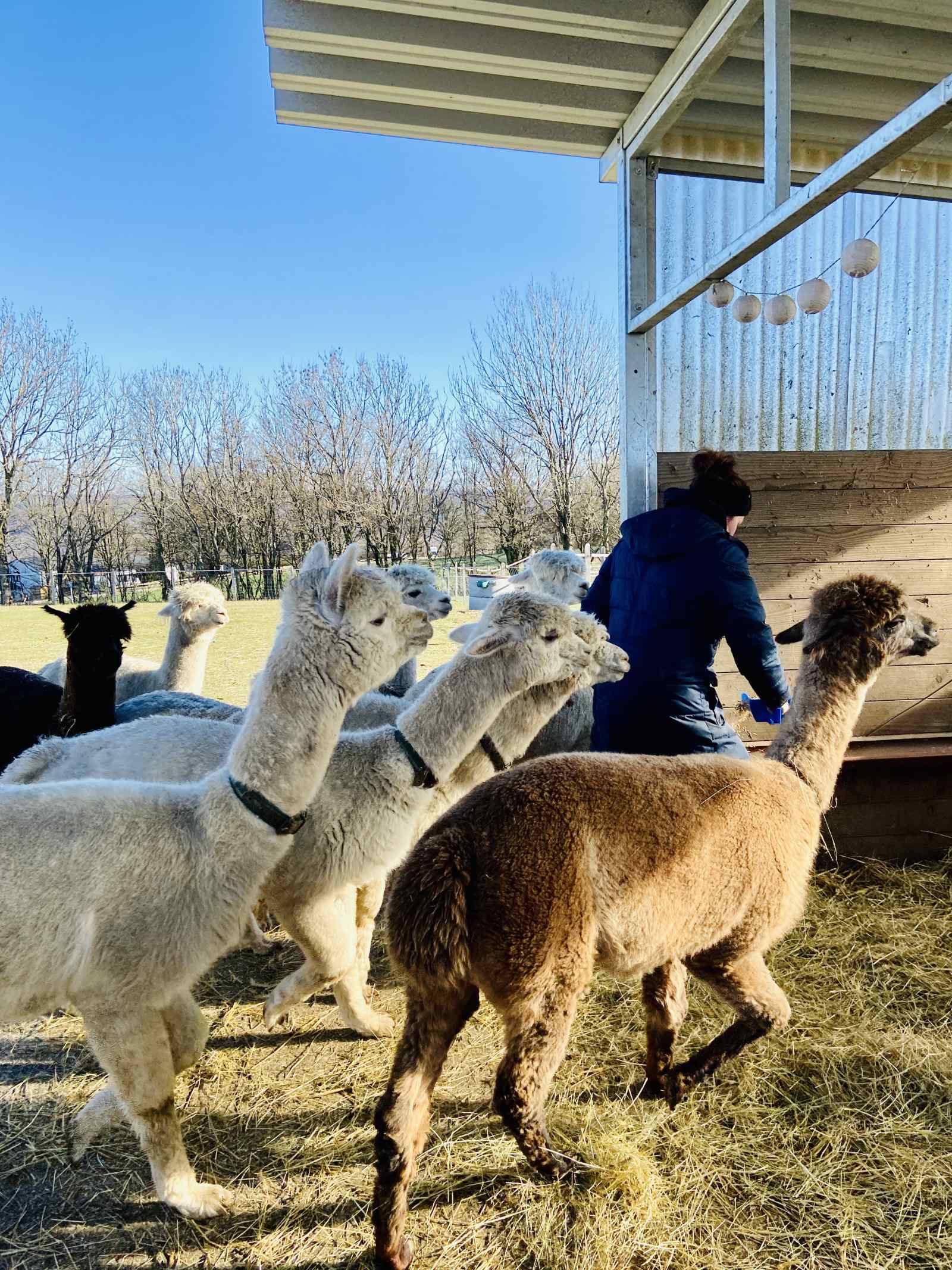 Bei der Fütterung verstehen sie keinen Spaß! Bei der Fütterung verstehen sie keinen Spaß!