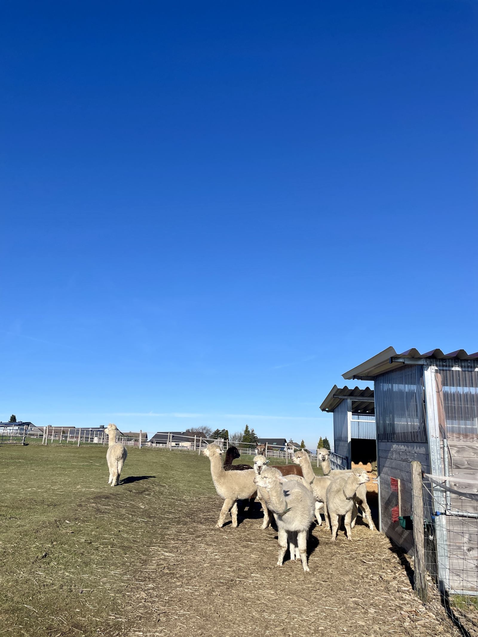 Das Wetter hat uns in die Karten gespielt Das Wetter hat uns in die Karten gespielt