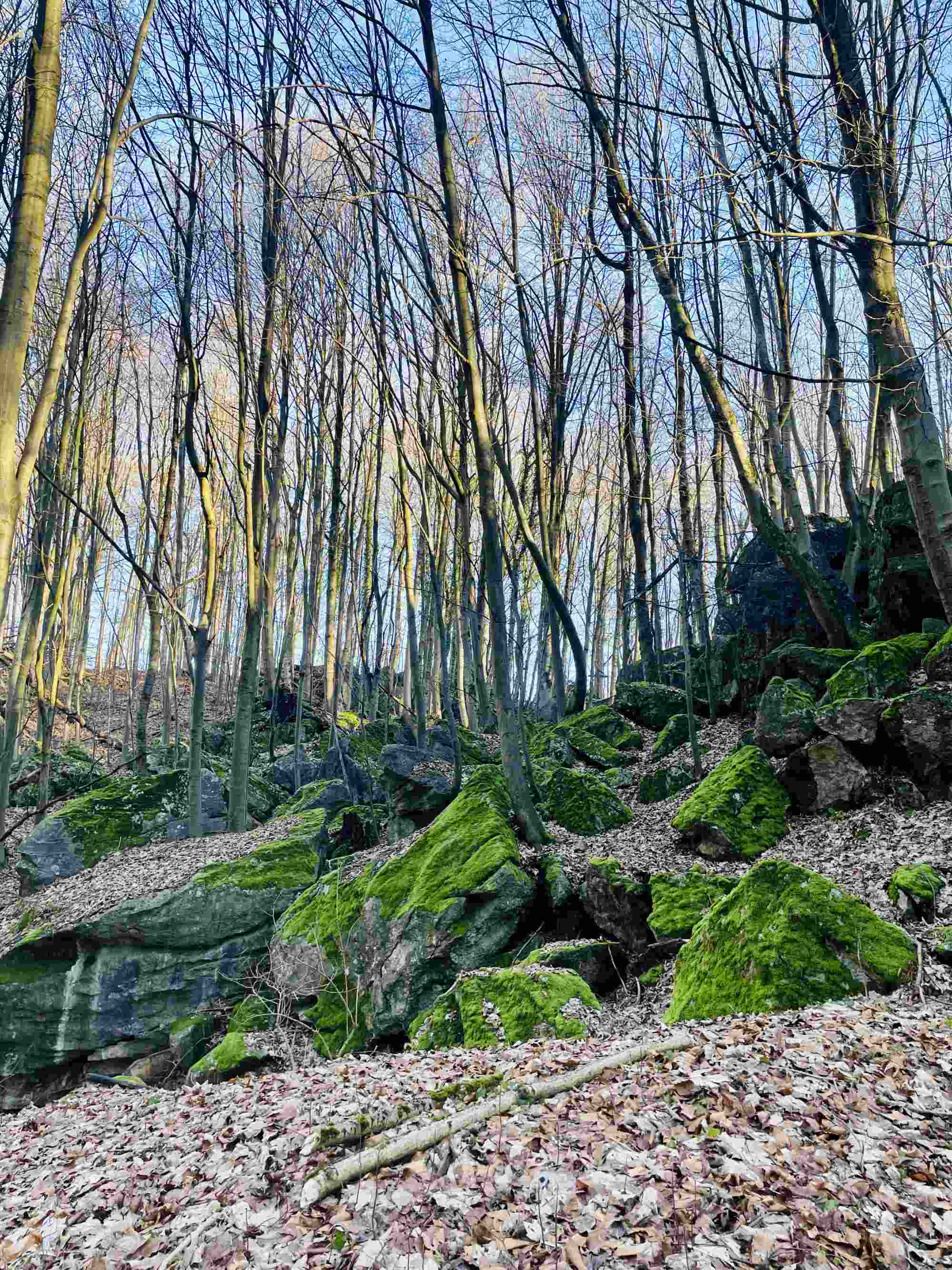 Das Moos auf den Felsen ermöglicht einen tollen Farbkontrast