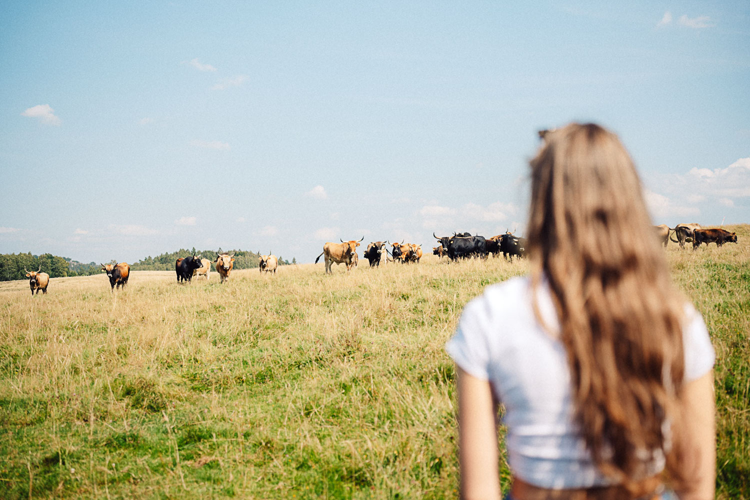 Stilleking in Lüdenscheid im Märkischen Sauerland