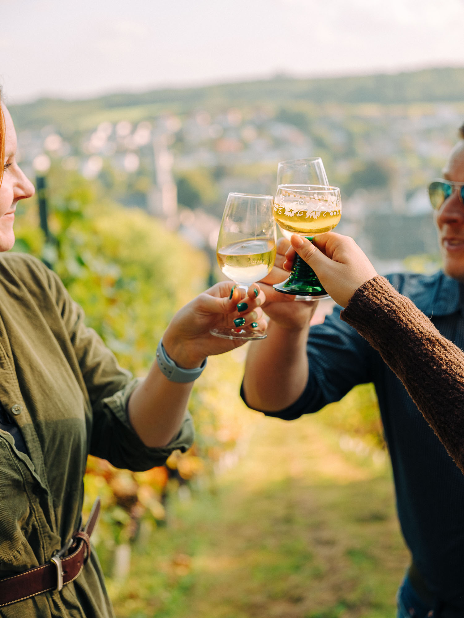 Weinberg Neuenrade im Märkischen Sauerland Weinberg Neuenrade im Märkischen Sauerland