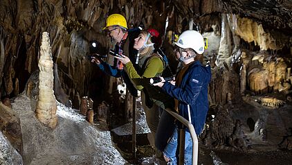 Stalagmiten und Stalaktiten in der Dechenhöhle. Stalagmiten und Stalaktiten in der Dechenhöhle in Iserlohn