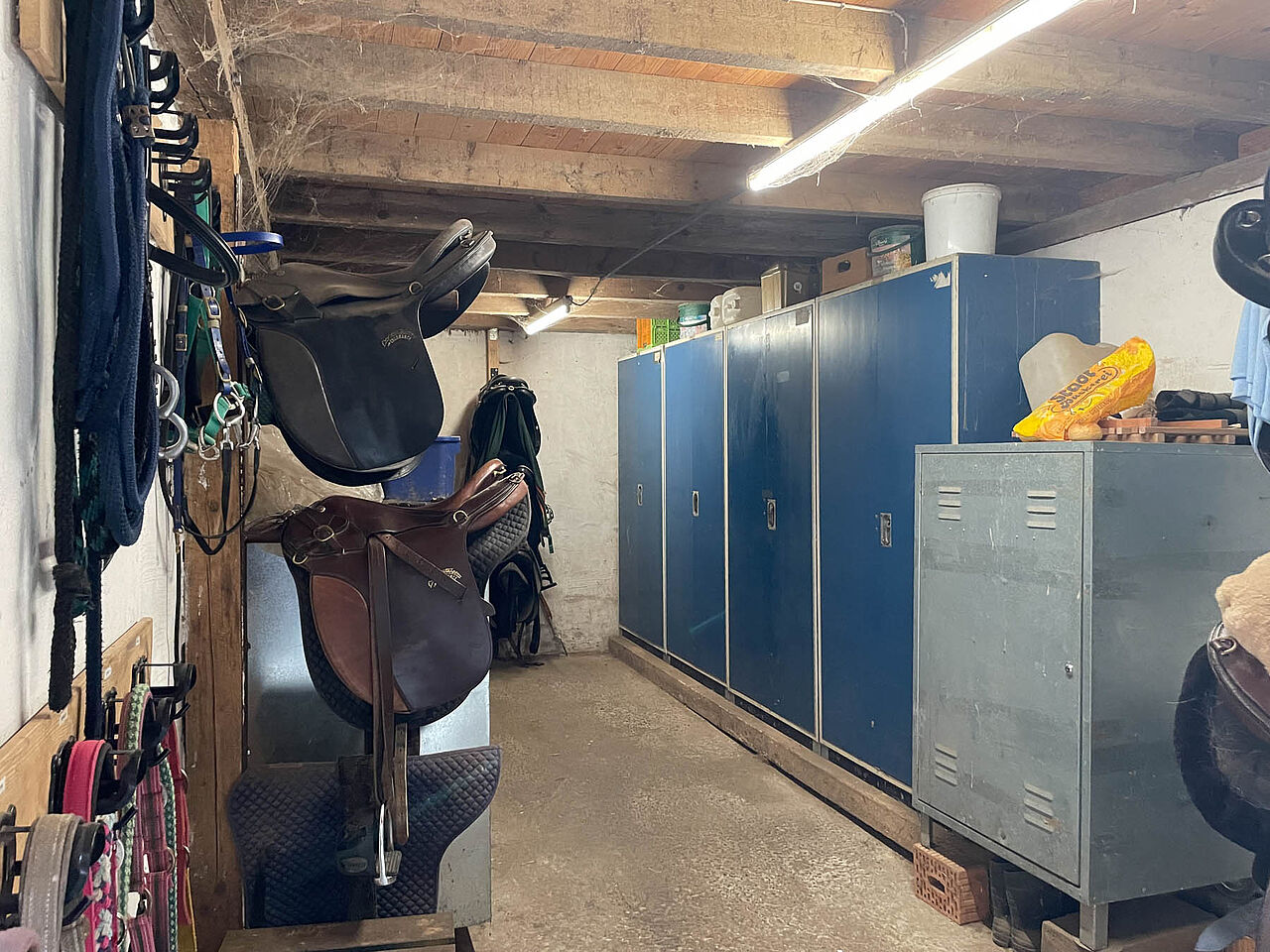 Reitstall ISI Rider Boxen Reitstall ISI Rider in Balve