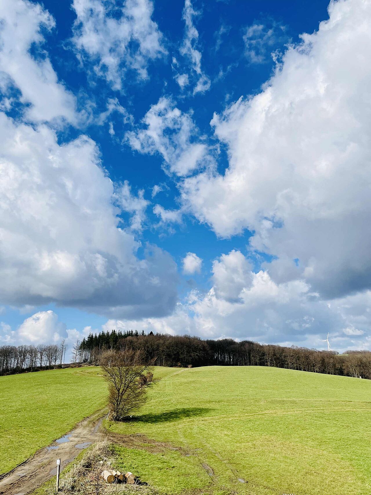 Welch ein unbezahlbarer Fernblick in die unbebaute Landschaft des Sauerlandes Welch ein unbezahlbarer Fernblick in die unbebaute Landschaft des Sauerlandes