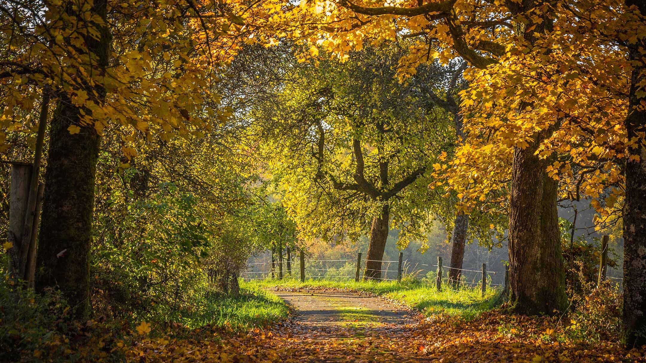 Herbst in Herscheid im Märkischen Sauerland