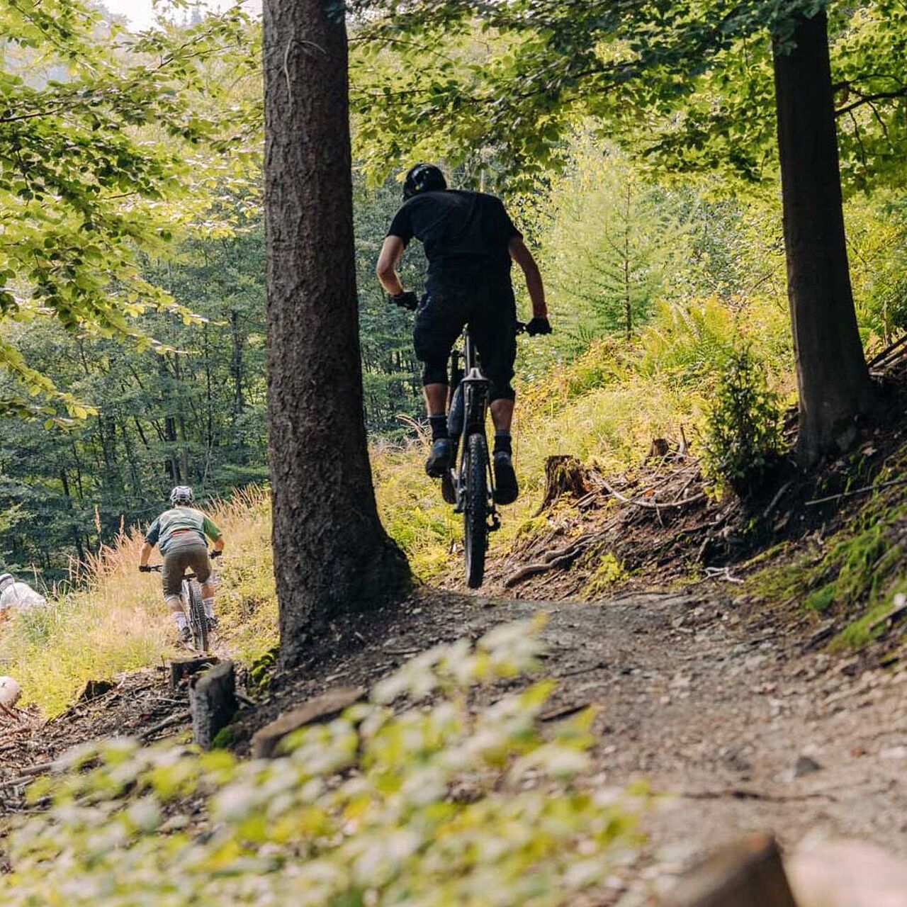 Mountainbiker auf dem Eisenwald Trail in Iserlohn im Märkischen Sauerland Mountainbiker auf dem Eisenwald Trail in Iserlohn im Märkischen Sauerland