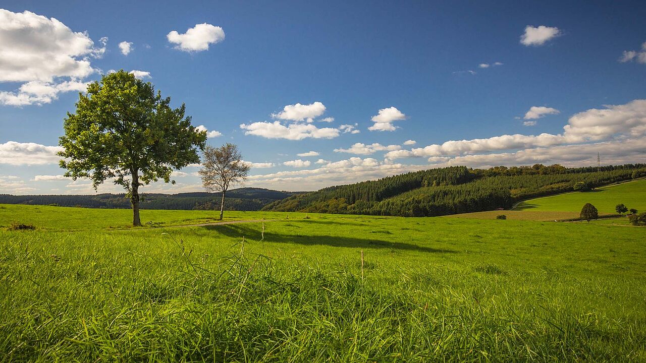 Landschaft in Herscheid im Märkischen Sauerland Landschaft in Herscheid im Märkischen Sauerland