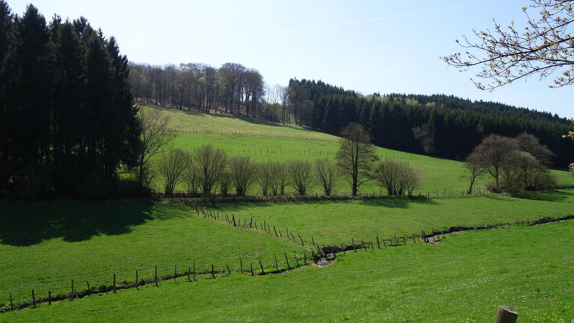 Das Schlechtenbachtal bei Halver im Märkischen Sauerland
