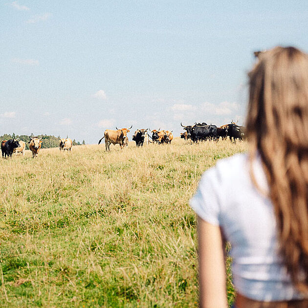 Stilleking in Lüdenscheid im Märkischen Sauerland