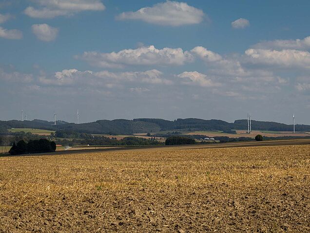 Landschaft bei Hemer