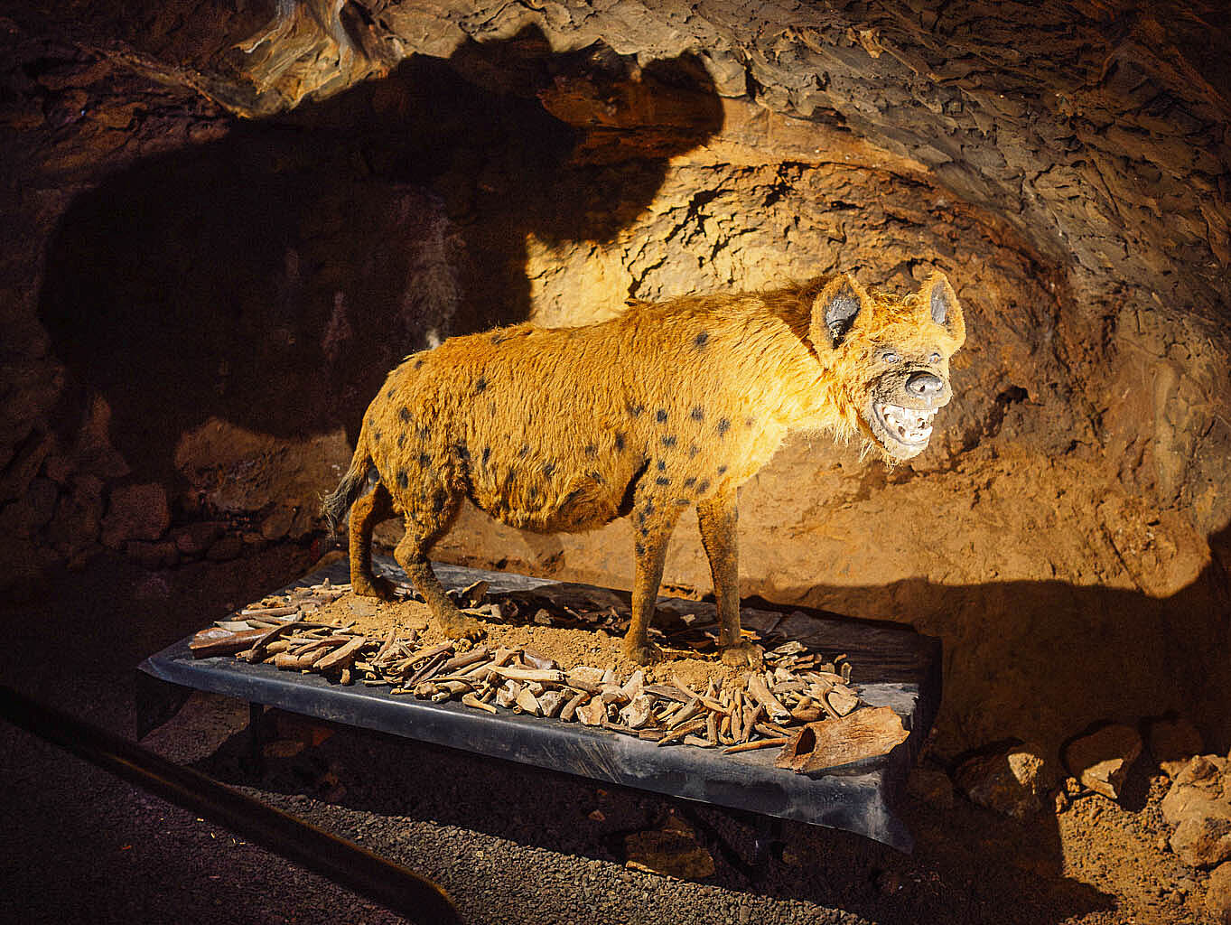 Heinrichshöhle in Hemer im Märkischen Sauerland