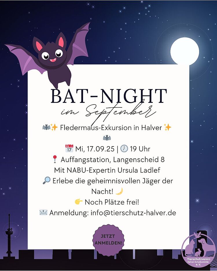 Bat Night