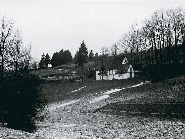 Bauernhaus in einem Tal mit Bauerngarten
