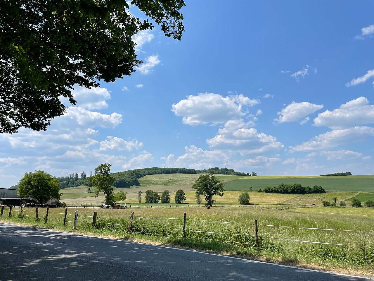Reitstall ISI Rider Landschaft Märkisches Sauerland beim Ausritt mit ISI Rider in Balve