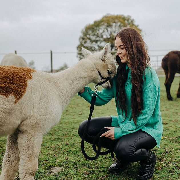 Eine Frau streichelt ein Alpaka auf dem Alpakahof in Nachrodt-Wiblingwerde