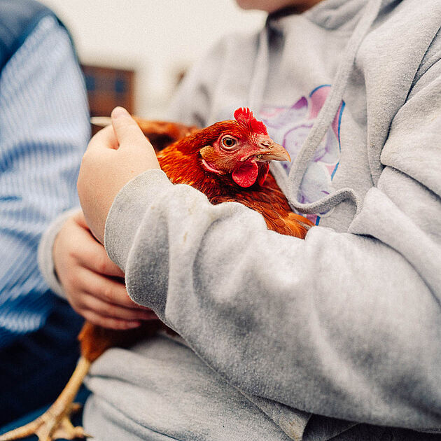 Bauernhof Korte in Menden im Märkischen Sauerland