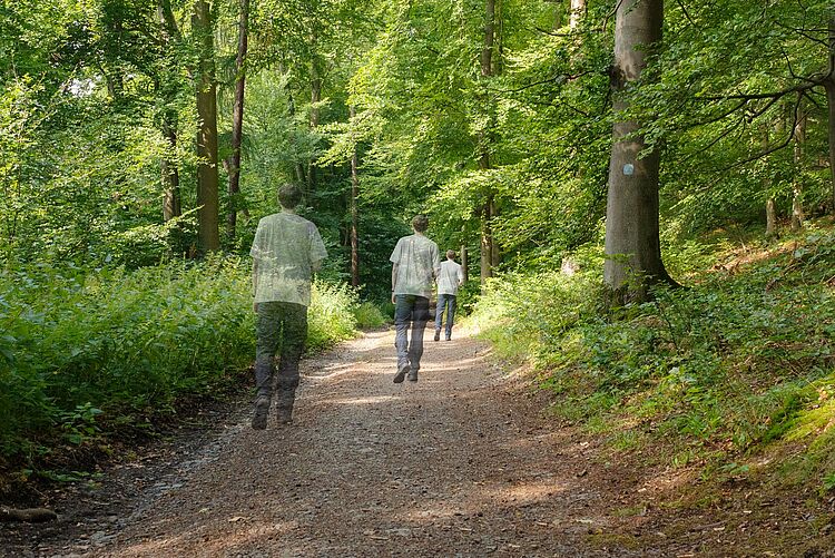 Eine Person geht über einen Waldweg, perspektivisch tiefer in das Bild hinein, die Person ist dabei insgesamt dreimal auf dem Bild zu sehen. Je weiter die Person den Weg in die Ferne geht, desto deutlicher ist ihre Statur zu erkennen.