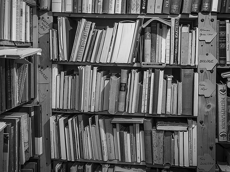 Melzers-Antiquarium_Foto_Rüdiger-vom-Brocke