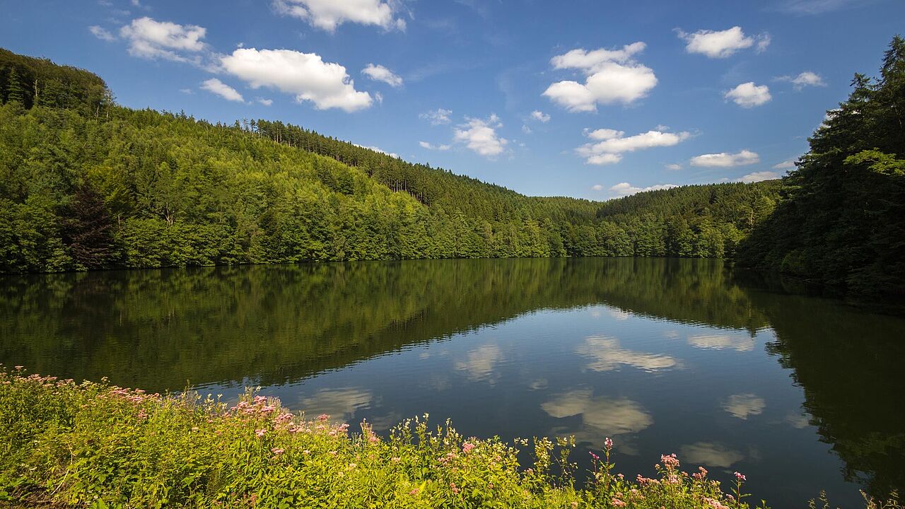 Versetalsperre in Lüdenscheid im Märkischen Kreis Versetalsperre in Lüdenscheid im Märkischen Kreis