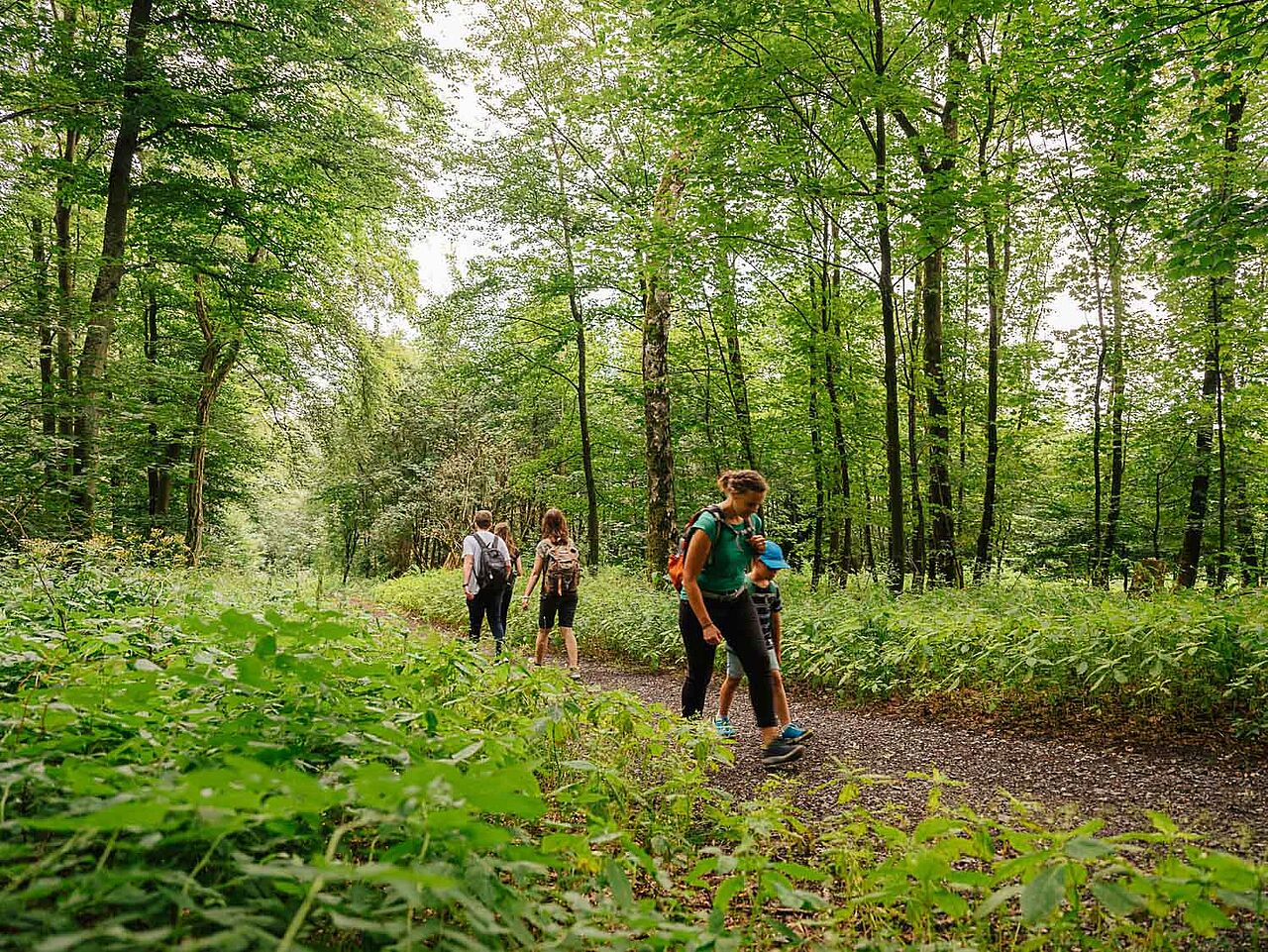 Dahthandelsweg Märkischer Kreis Dahthandelsweg Märkischer Kreis