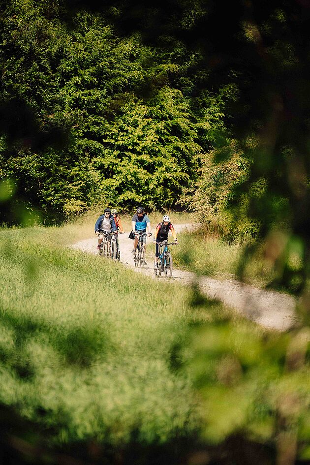 Radtour durch Balve im Märkischen Sauerland