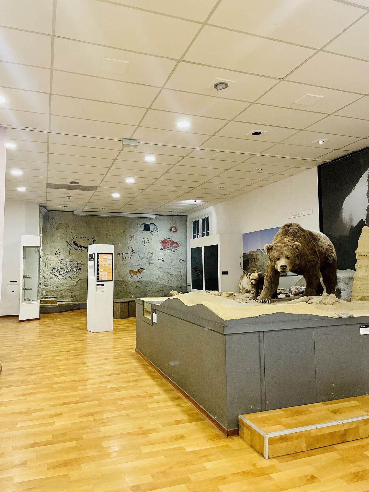 Das Höhlenmuseum bietet Wissenshungrigen viele Informationen rund um die Höhle