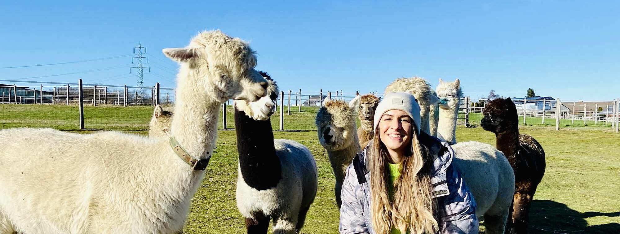 Cansu und die Alpakas auf Hof Hegemann