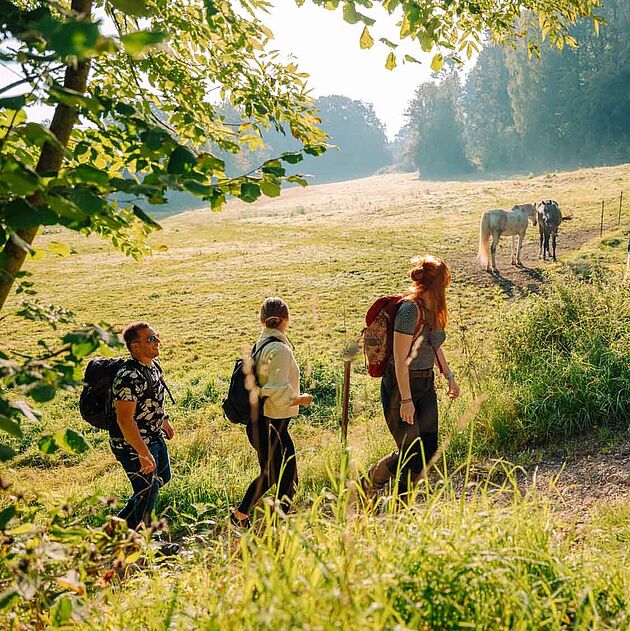 Wandern im Märkischen Sauerland