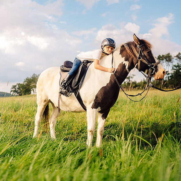 Reiterhof ISI Rider in Balve im Märkischen Sauerland