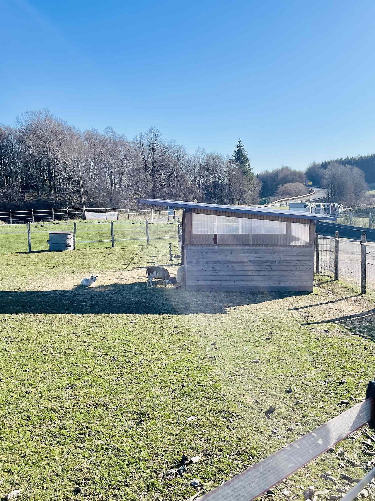 Auch einen Mini-Streichelzoo gibt es hier Auch einen Mini-Streichelzoo gibt es hier