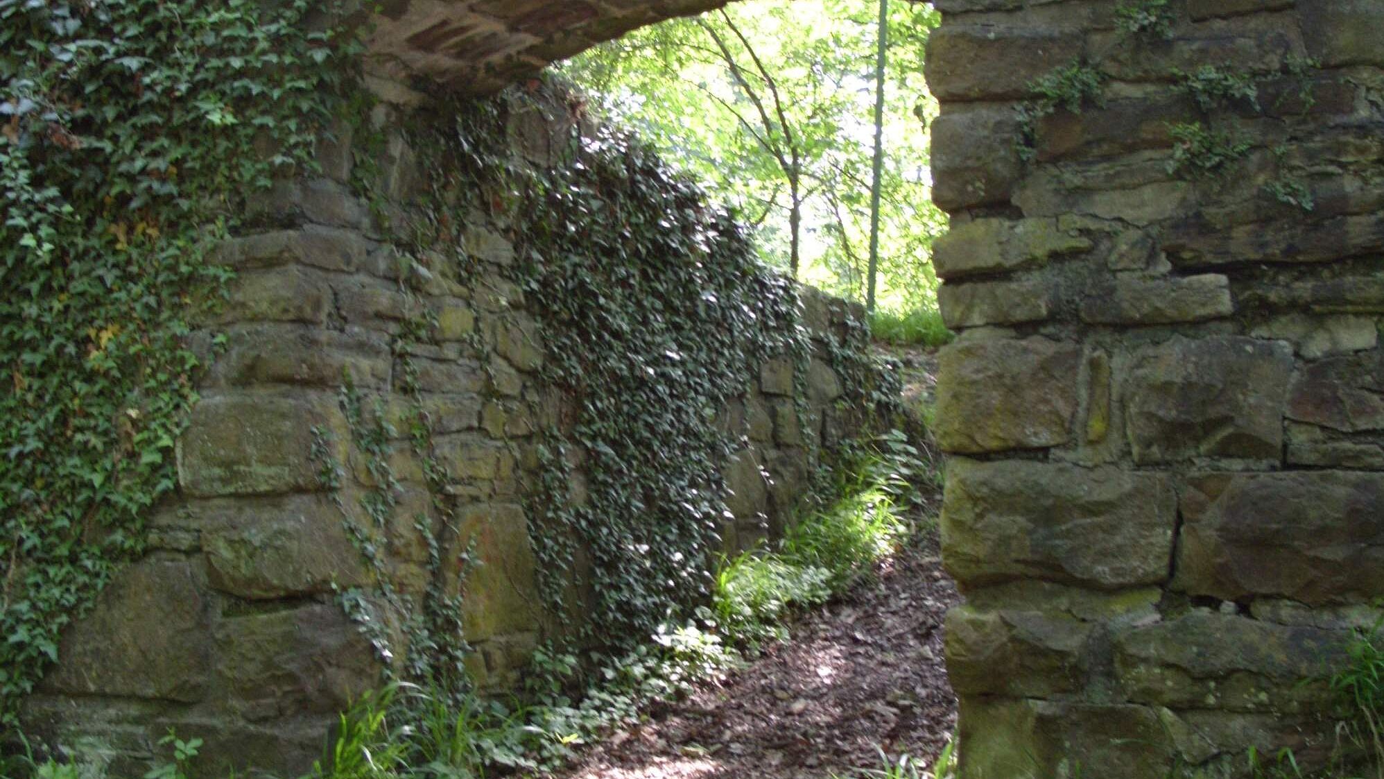 Rodenburg auf dem Rodenberg in Menden