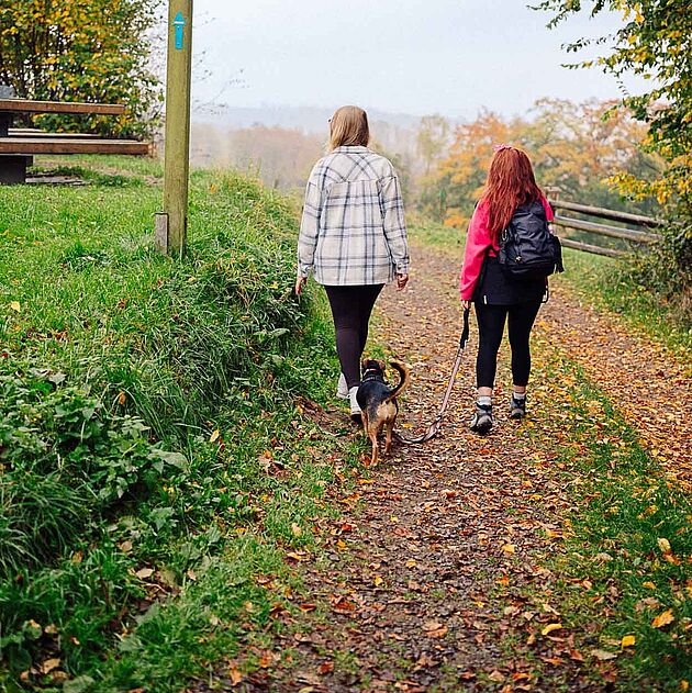 Wanderbares M in Meinerzhagen im Märkischen Sauerland