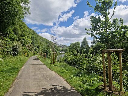 Kletterfelsen Lennebogen in Werdohl im Märkischen Sauerland Kletterfelsen Lennebogen in Werdohl im Märkischen Sauerland