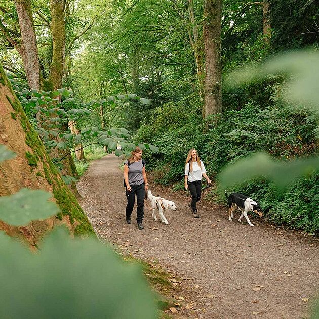 Dahthandelsweg Märkischer Kreis