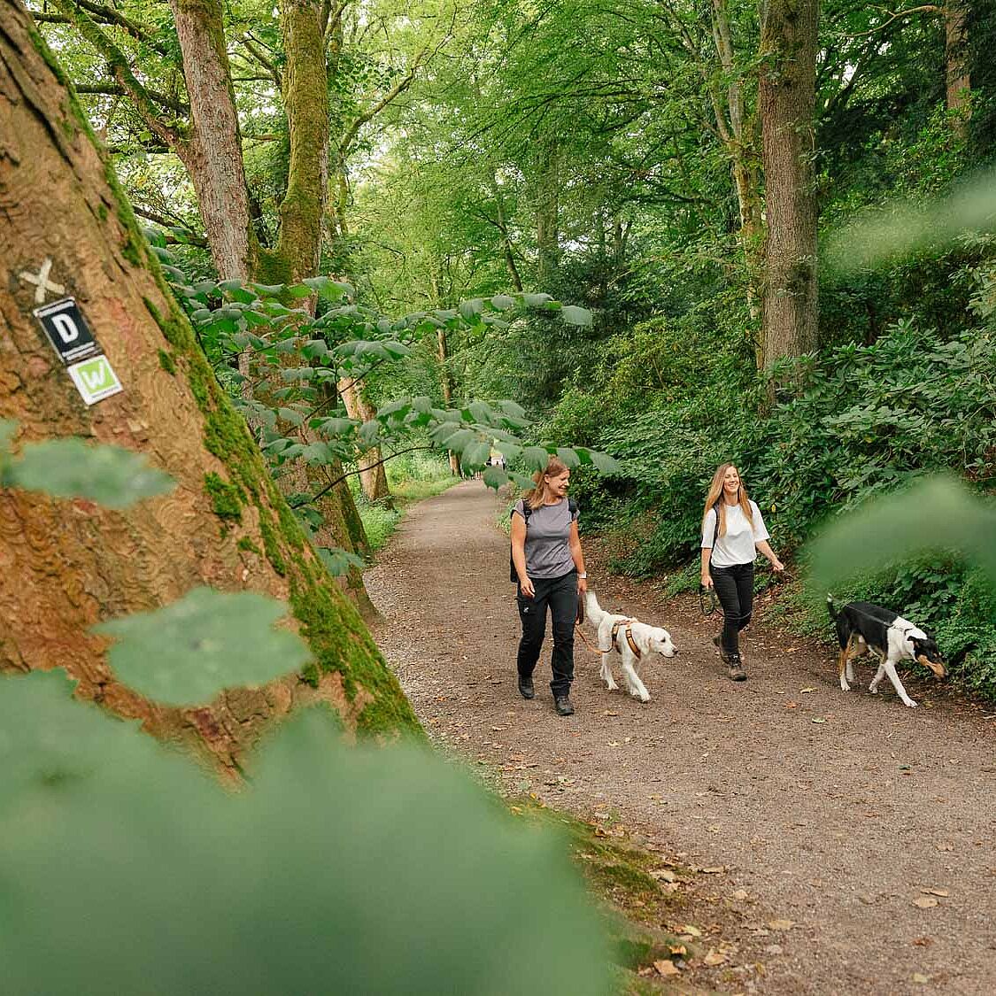Dahthandelsweg Märkischer Kreis
