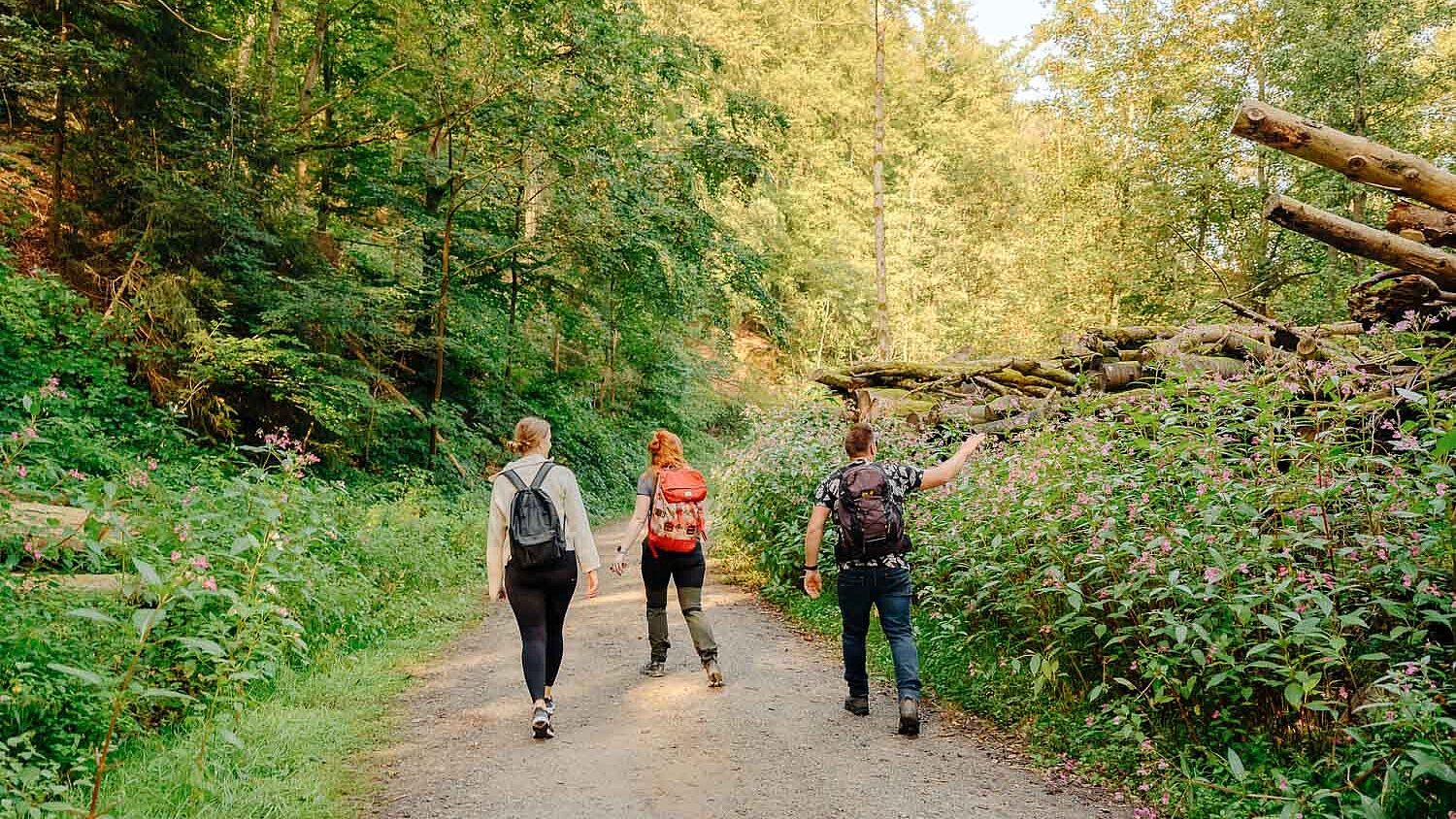 Wanderer im Märkischen Sauerland die auf einem Wanderweg durch den Wald wandern