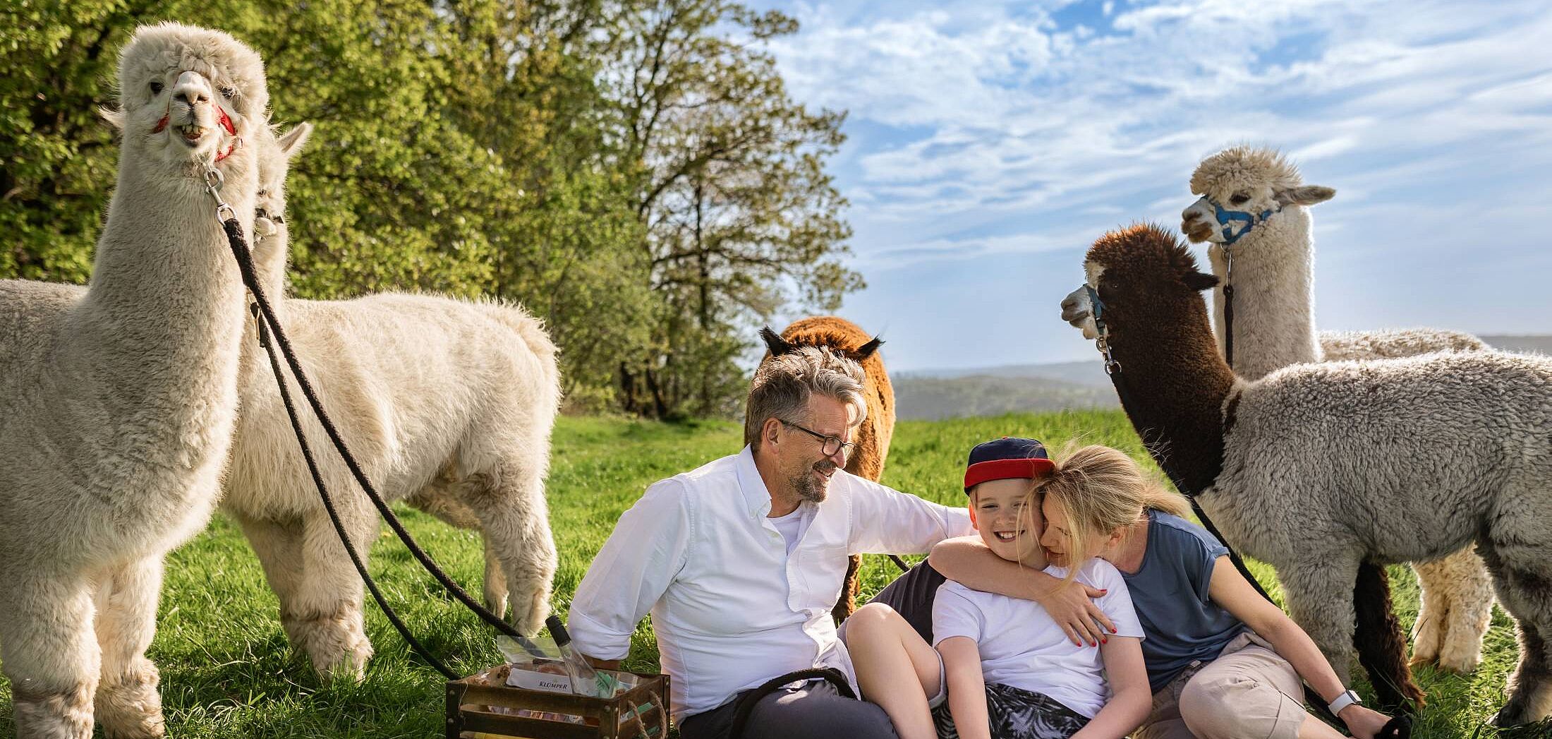 Alpaka Wanderung im Märkischen Sauerland