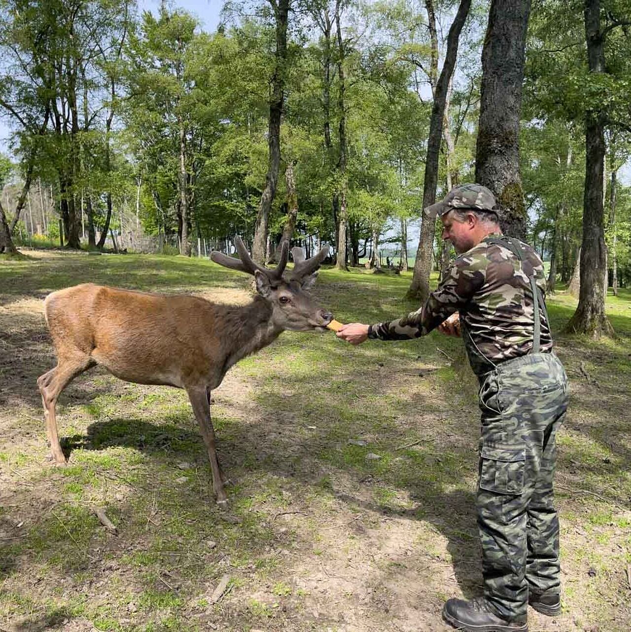 Wildgehege Mesekendahl in Schalksmühle im Märkischen Sauerland Wildgehege Mesekendahl in Schalksmühle im Märkischen Sauerland