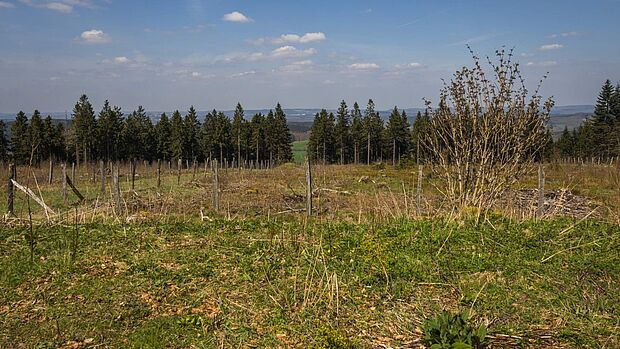 Die Nordhelle im Ebbegebirge 