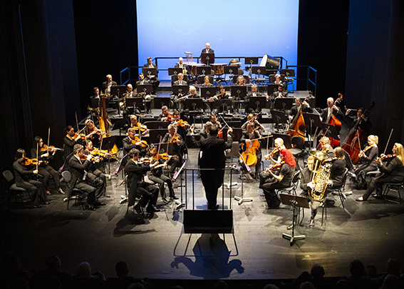 25-26_philharmonie-swf-pog_web-2