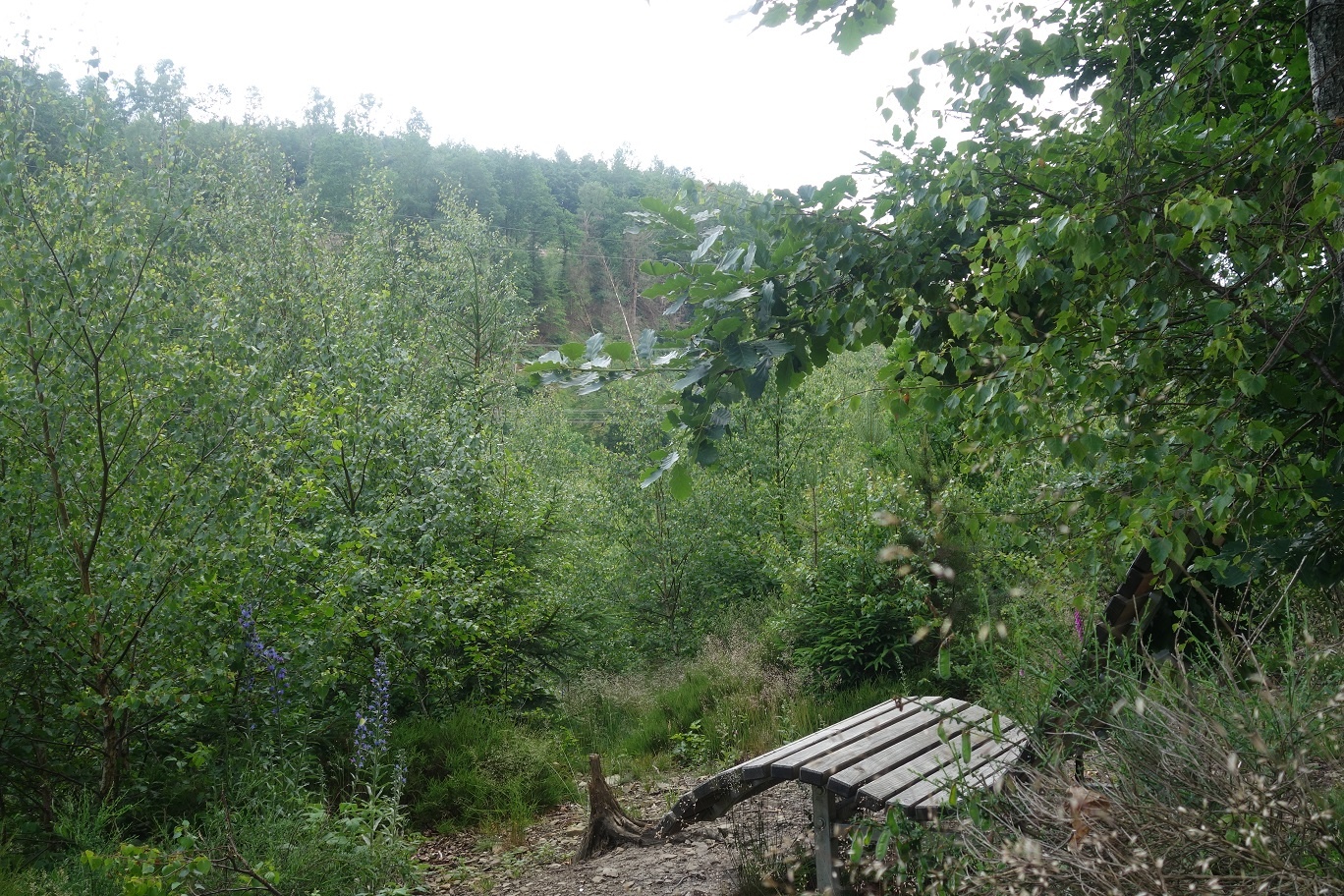 Waldsofa mit Sagenplakette Waldsofa mit Sagenplakette