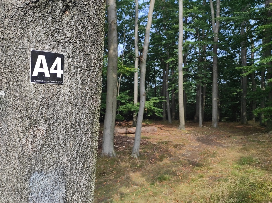 Der dort herführende Wanderweg A4 Der dort herführende Wanderweg A4