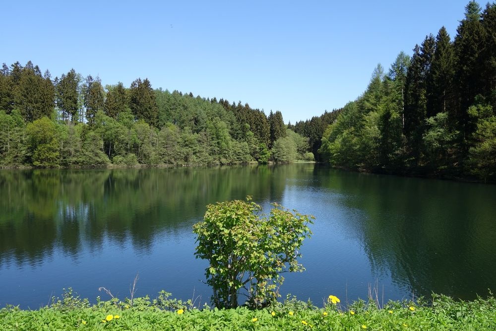 Das Vorstaubecken der Genkeltalsperre Das Vorstaubecken der Genkeltalsperre