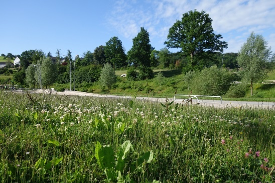 Volmefreizeitpark mit Sicht auf die Sagenbank Volmefreizeitpark mit Sicht auf die Sagenbank