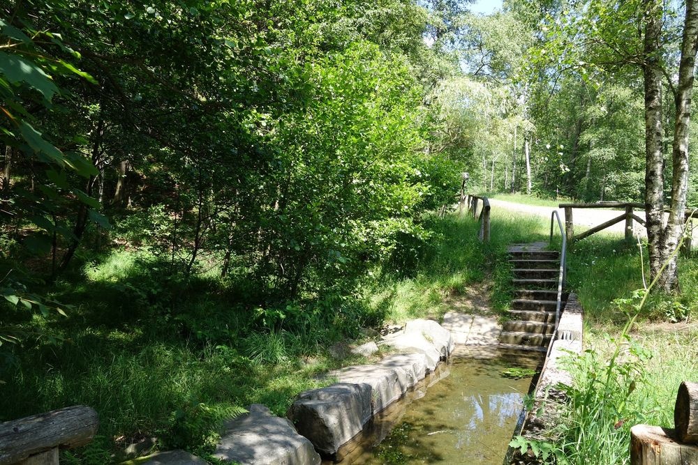 Die Anlage lädt zum Wassertreten ein Die Anlage lädt zum Wassertreten ein