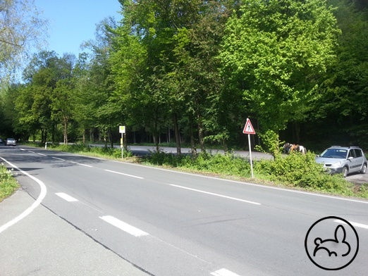 Gut zu erreichen: der Parkplatz unterhalb der Glör Gut zu erreichen: der Parkplatz unterhalb der Glör