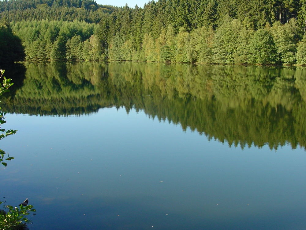 Die idyllische Talsperre Die idyllische Talsperre