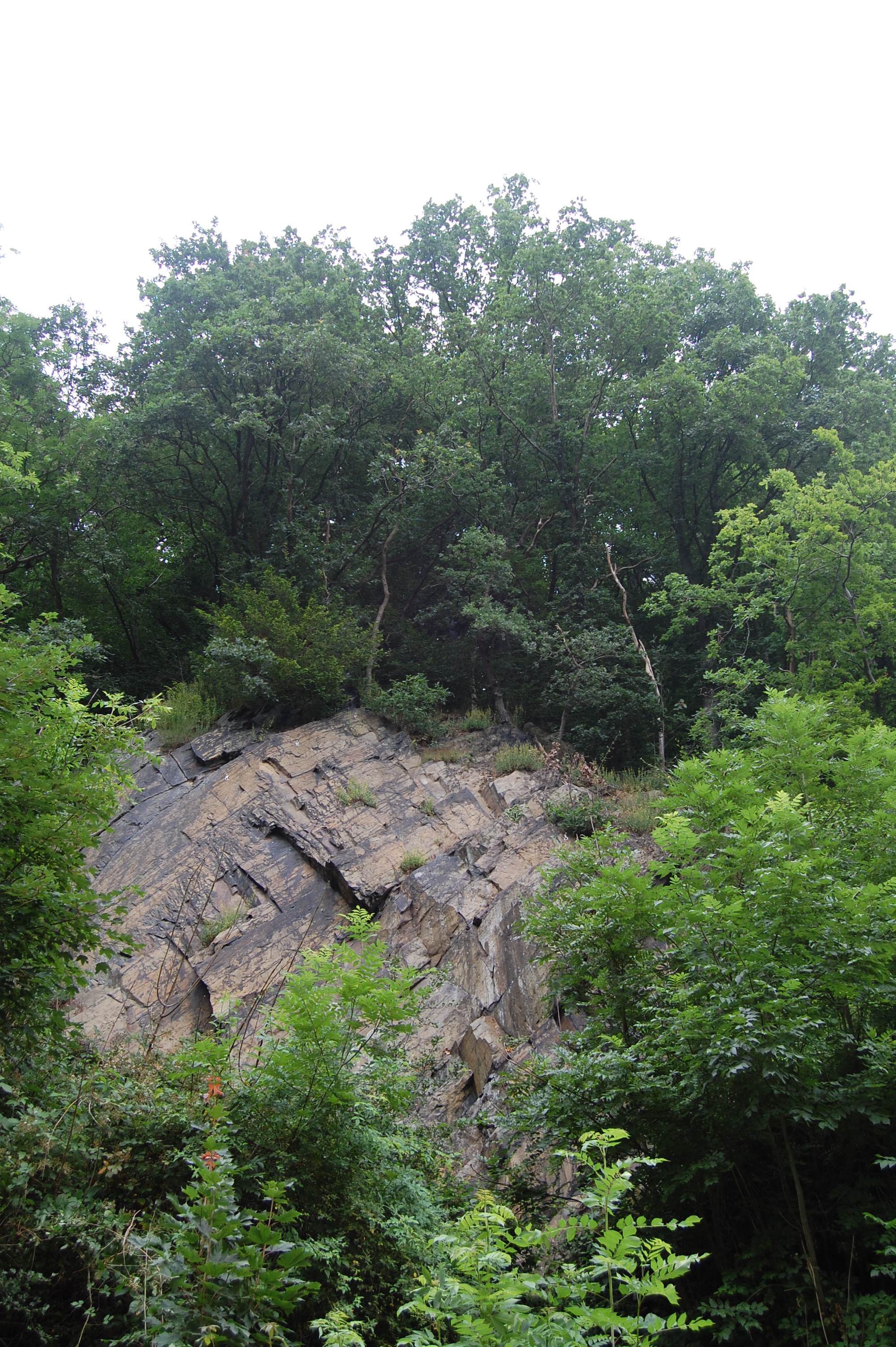 Werdohl_Kletterfelsen (7).JPG Werdohl_Kletterfelsen (7).JPG