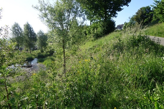 Blick auf die Volme Blick auf die Volme