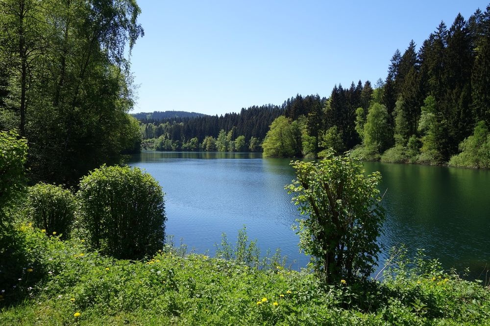 Entlang der Ufer führen verschiedene Wanderwege Entlang der Ufer führen verschiedene Wanderwege